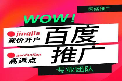信息流投放策略：某电商平台的成功案例